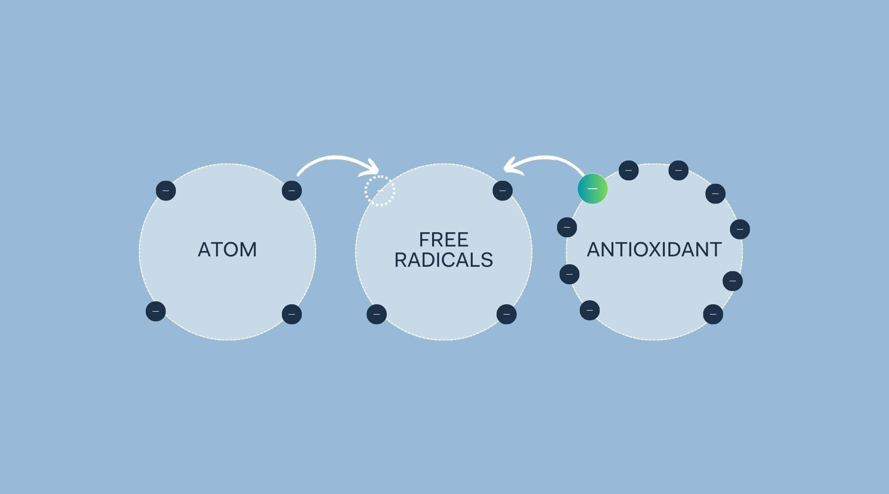 What are Free Radicals and how to Antioxidants help?